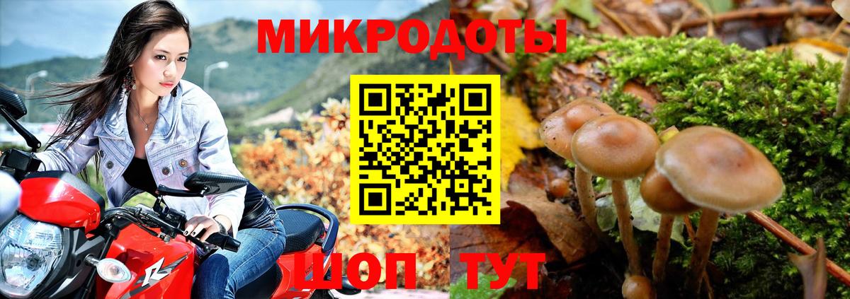 Псилоцибиновые грибы мицелий Димитровград