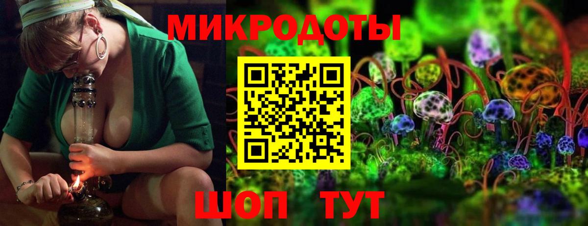 Псилоцибиновые грибы Cubensis  Вход с VPN  Димитровград  что такое   Галлюциногенные грибы мухоморы 